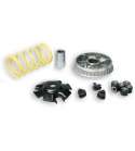 VARIADOR YAMAHA CYGNUS X 125 ( 4 TIEMPOS ) MALOSSI R: 5112701
