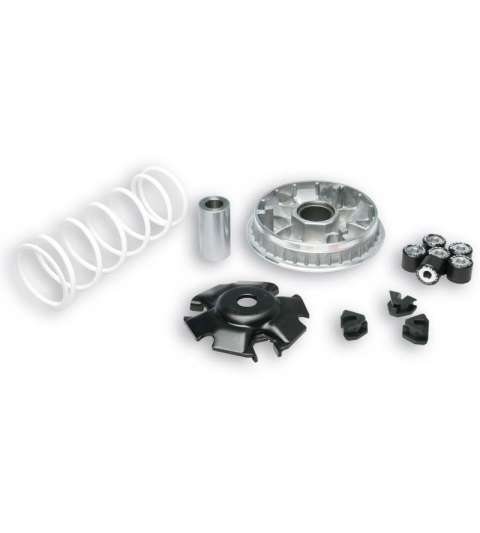 VARIADOR HONDA SH 125/150 MALOSSI R: 5111572
