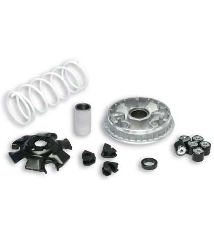VARIADOR SUZUKI UH BURGMAN 125 02/14 MALOSSI R: 5111324