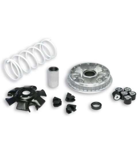 VARIADOR SUZUKI UH BURGMAN 125 02/14 MALOSSI R: 5111324