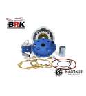 EQUIPO MOTOR BRK AM 6 DIAMETRO PISTÓN 50 MM. BLAUZAFIR CULATA 1 PIEZA ( BARIKIT ) R: EQ 1033 S