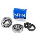 KIT RODAMIENTOS Y RETENES CIGUEÑAL MINARELLI AM 6 - NTN - R: 100010